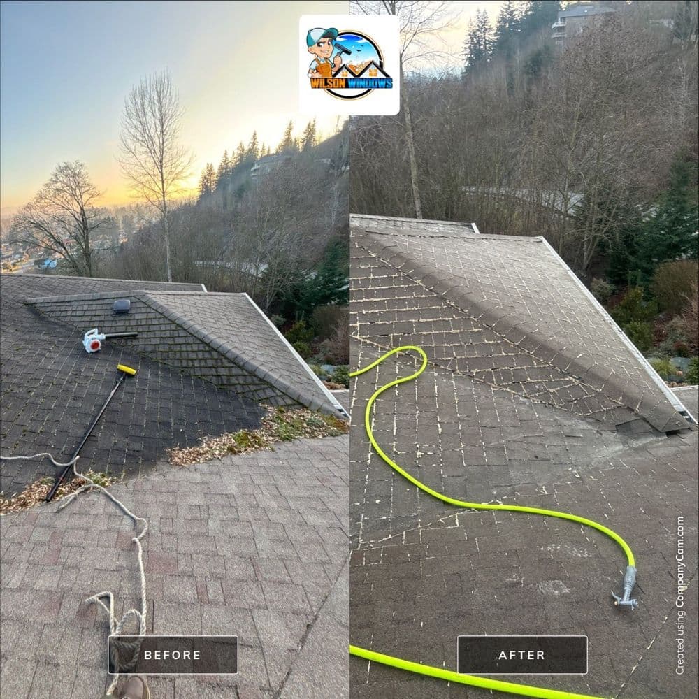 Before and after roof cleaning transformation showing improved appearance and results.