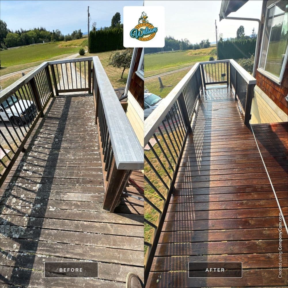 Before and after deck restoration showcasing cleaned and refinished wooden deck.