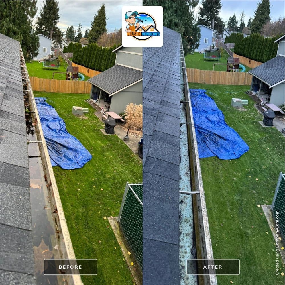 Gutter cleaning before and after, showing improved yard appearance and clear drainage.