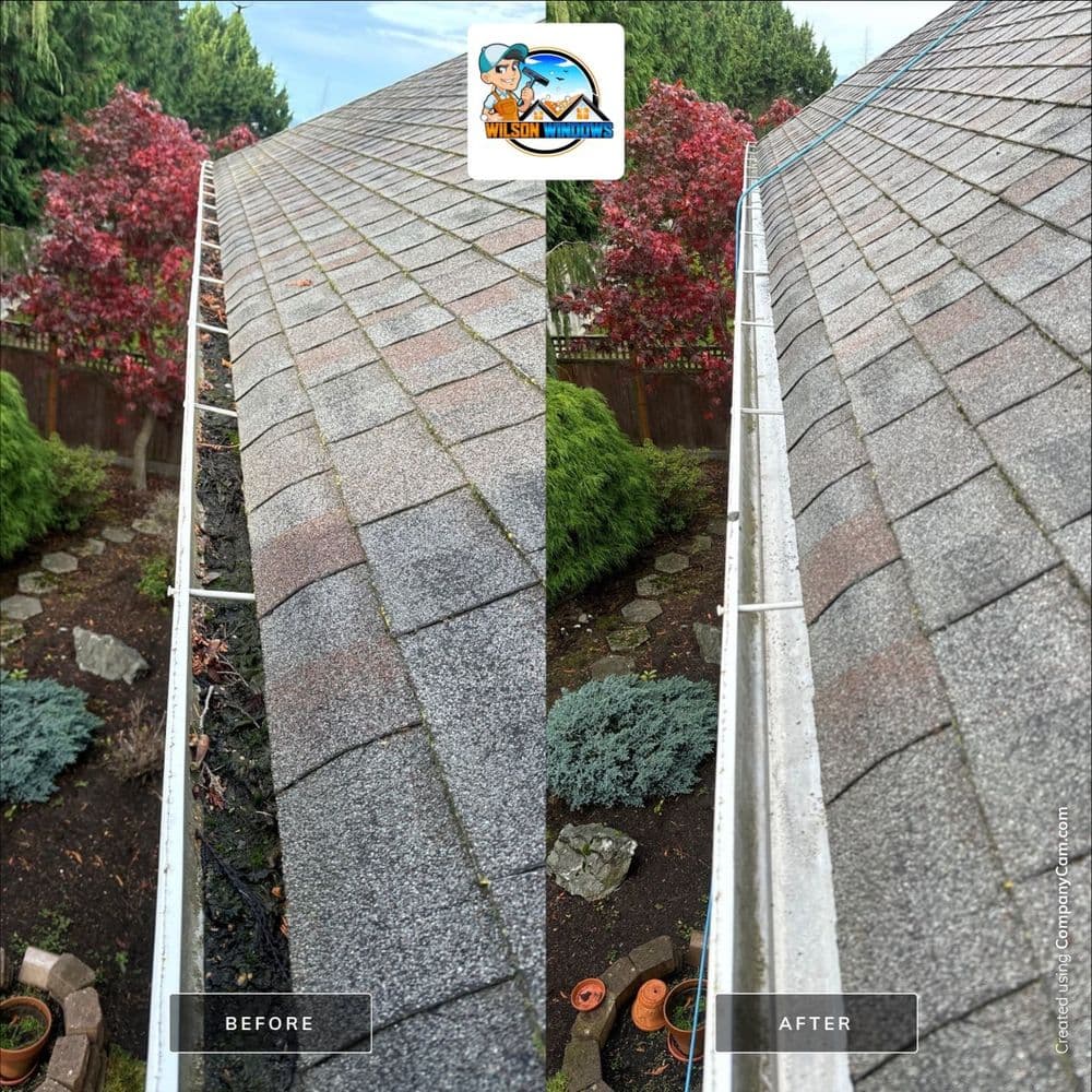 Before and after roof cleaning showing improved shingles and debris removal in a residential setting.