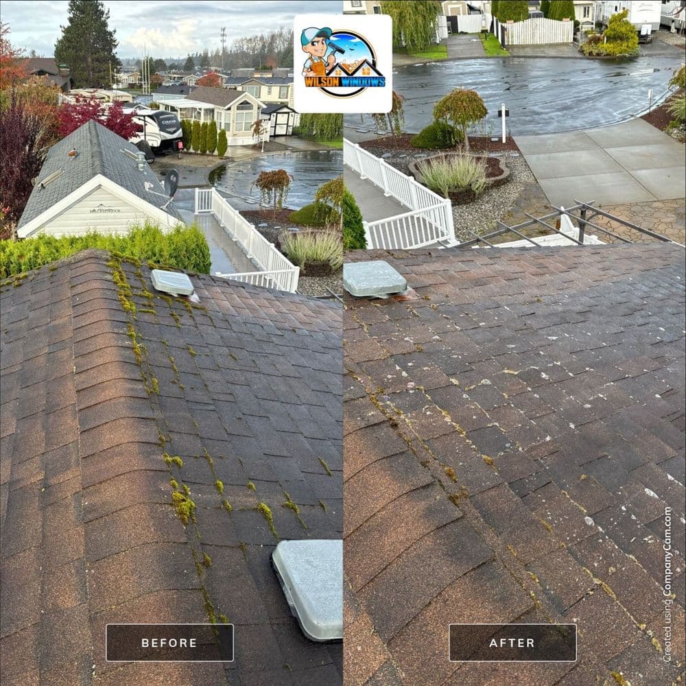 Roof cleaning transformation: before and after moss removal, showcasing improved shingles.