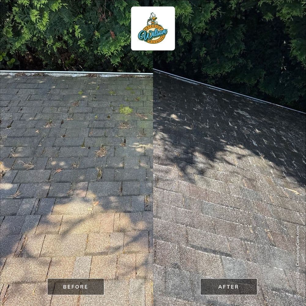 Before and after roof cleaning comparison showing significant improvement and enhanced appearance.