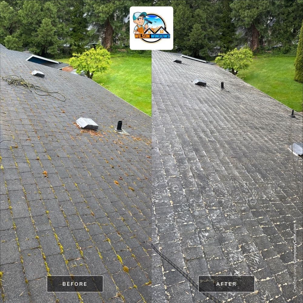 Before and after roof cleaning comparison showcasing improved clarity and condition.
