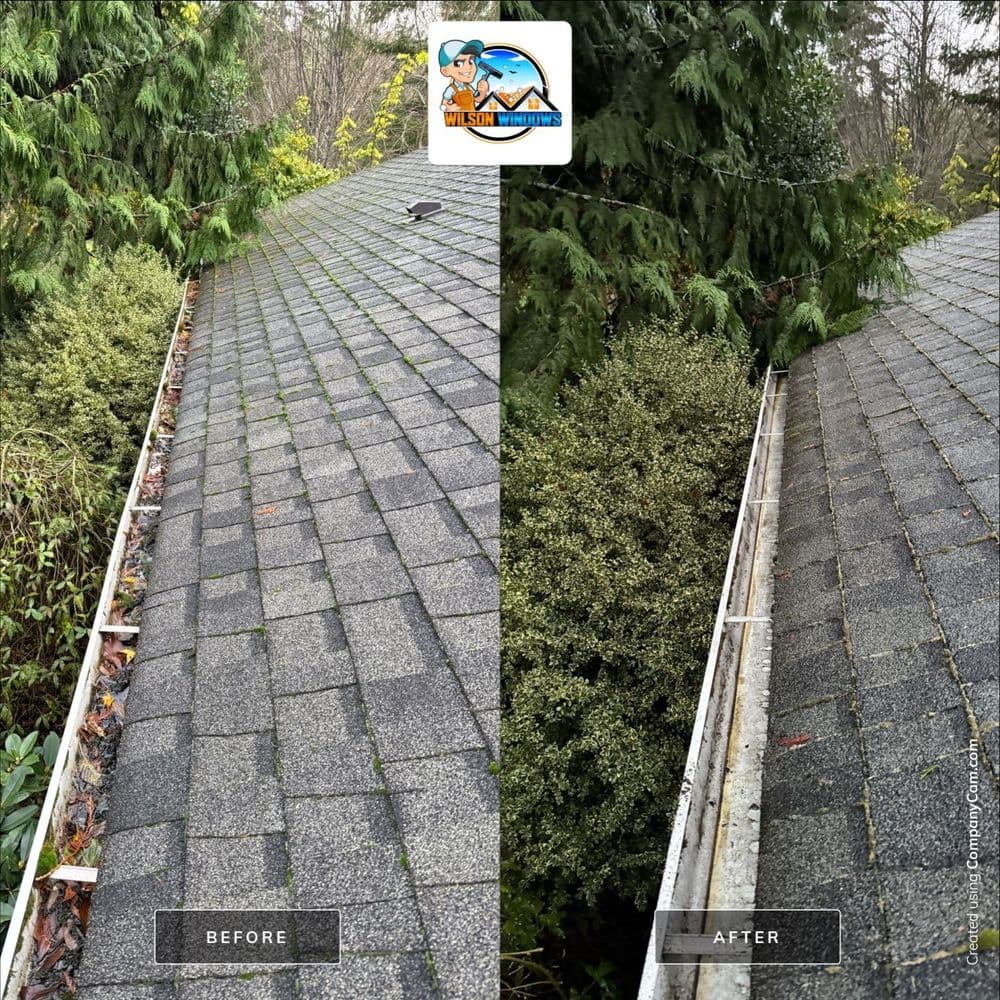 Before and after roof cleaning showing clear shingles and clean gutters. Improved home aesthetics.