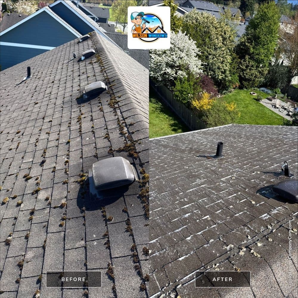 Before and after roof cleaning showing improved appearance and condition of shingles.