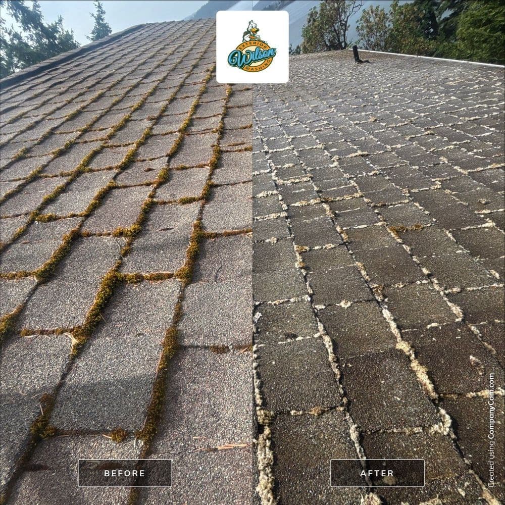 Before and after roof cleaning showing significant moss removal and improved appearance.