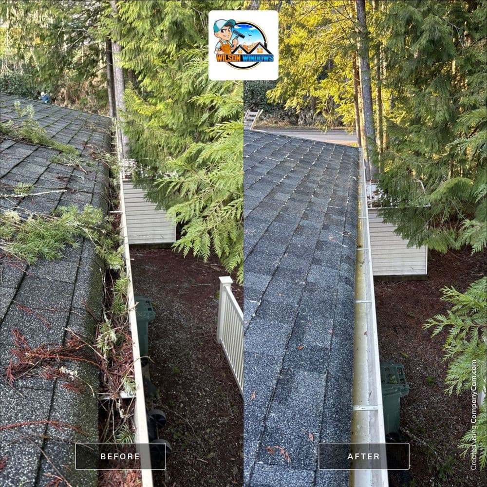 Before and after roof cleaning showing debris removal and improved roof condition.