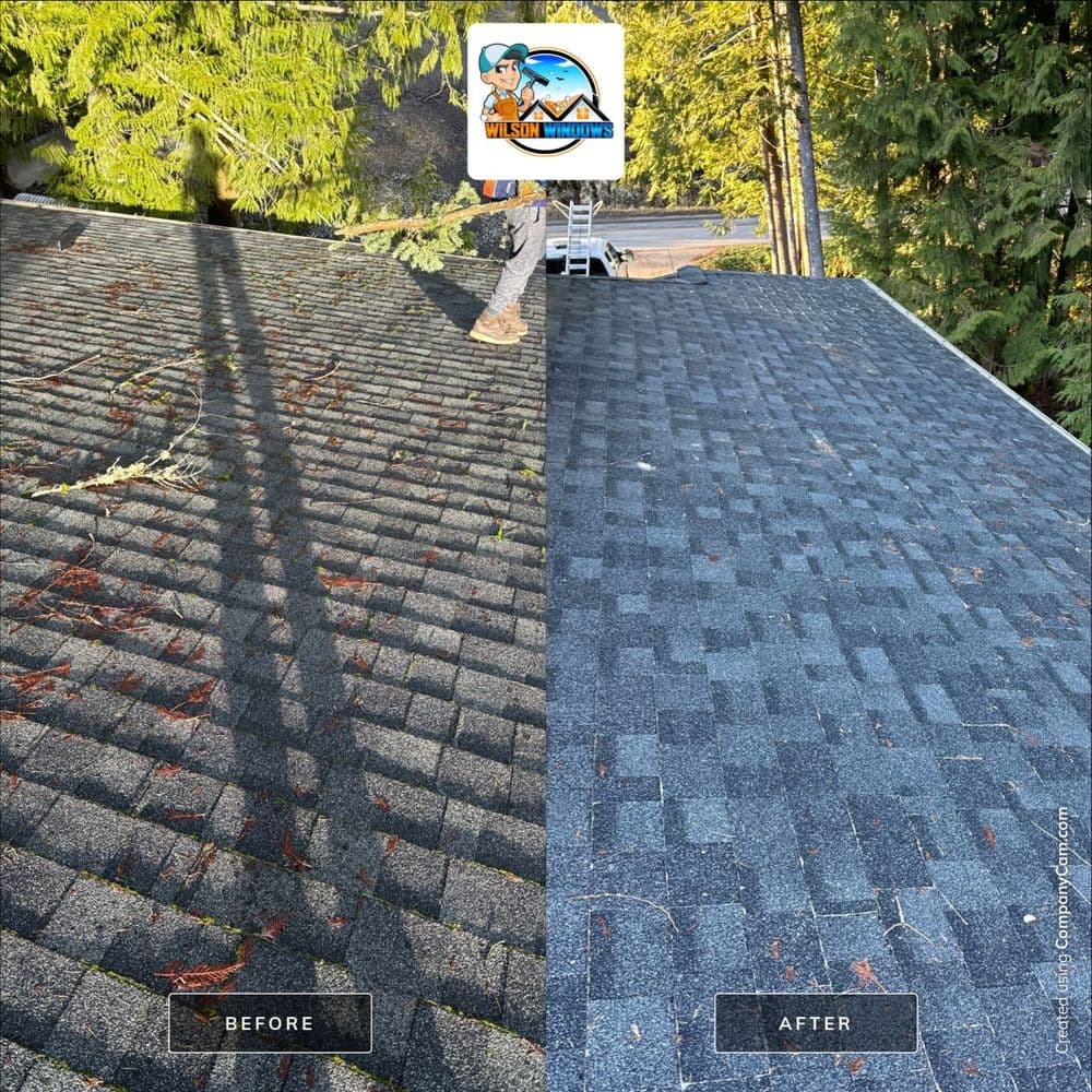 Before and after roofing restoration, showcasing clean, revitalized shingles.