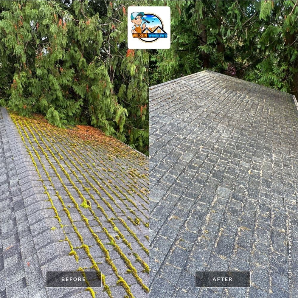 Before and after roof cleaning comparison showing moss removal and improved appearance.