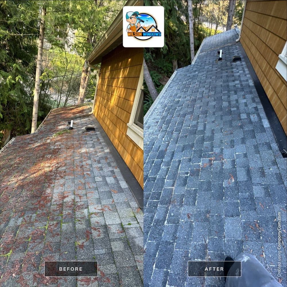 Roof cleaning transformation before and after, showcasing improved shingles and debris removal.