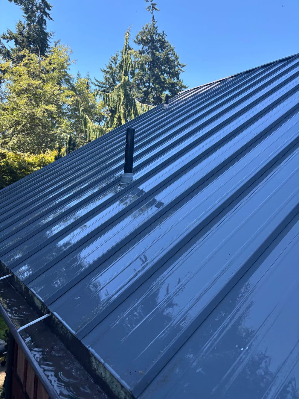 Metal roof with a chimney cap against a clear blue sky and surrounding trees.