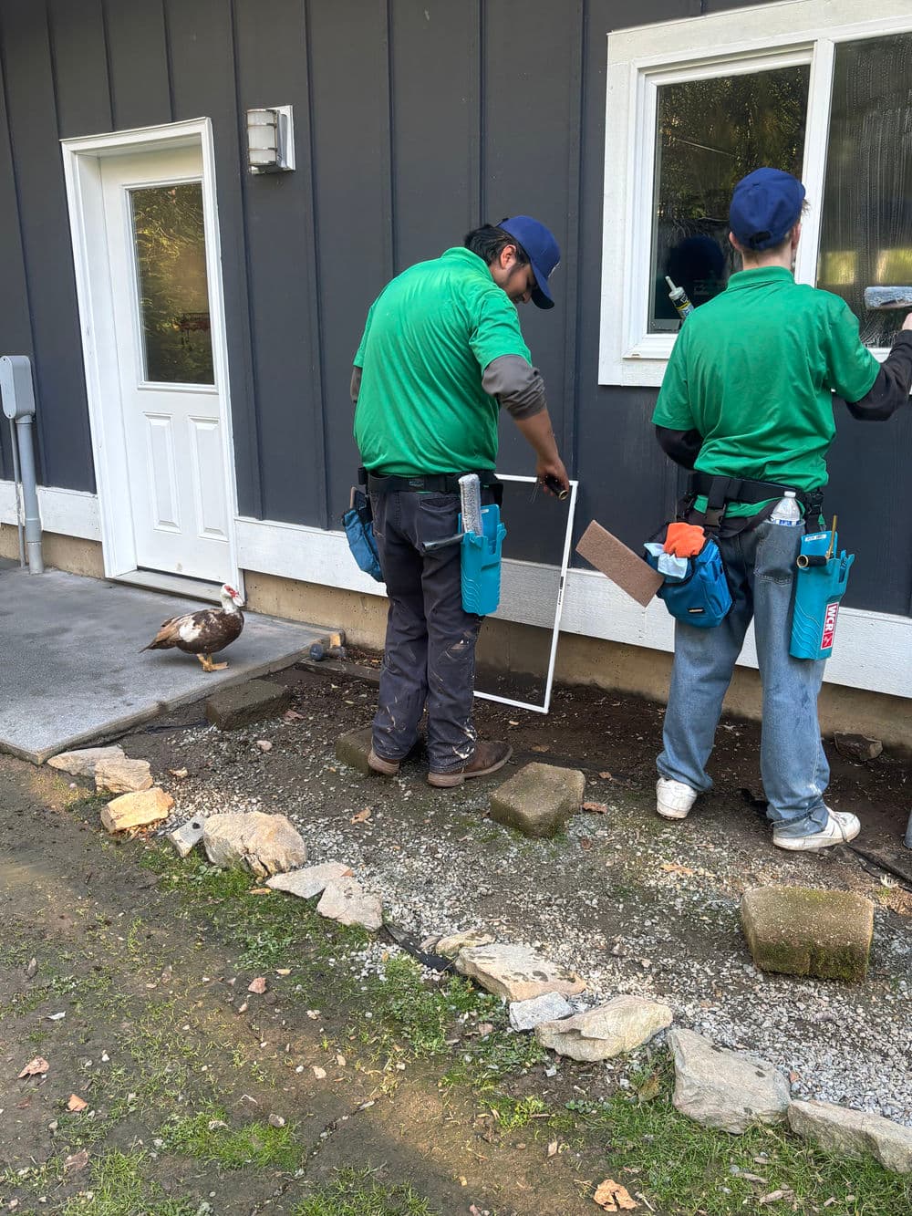 Two workers in green shirts repair a building's exterior while a duck walks nearby.