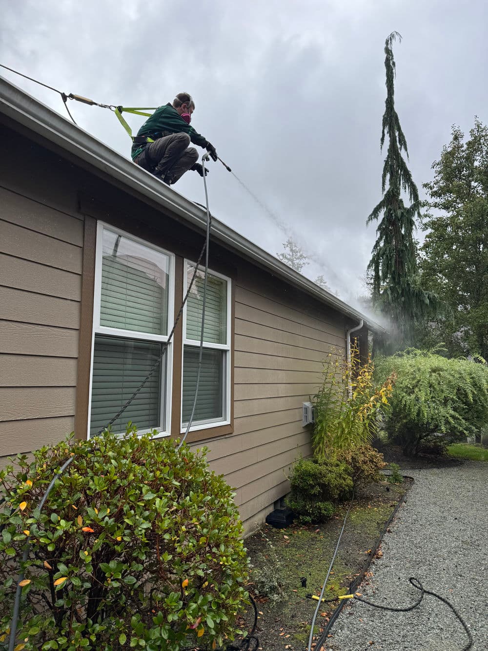 Worker pressure washing a home's roof during overcast weather, surrounded by greenery.