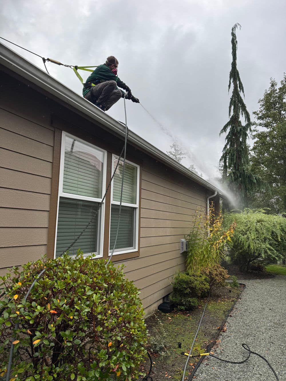 Man pressure washing a house roof while standing on a ladder, surrounded by trees and shrubs.