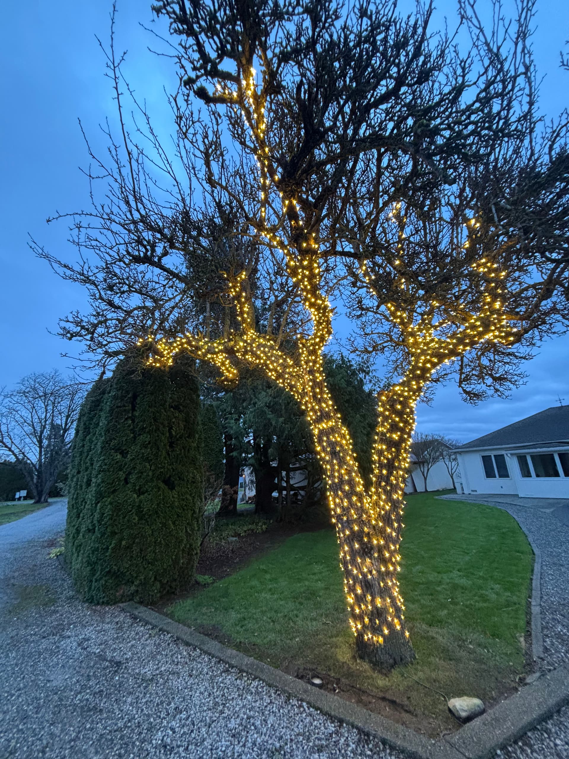 Gallery photos for Brighten Your Holidays with Wilson Exterior Washing: Image #4